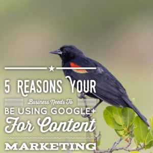 5 Reasons Your Business Needs To Be Using Google+ For Content Marketing