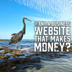 Want a Business Website That Makes Money